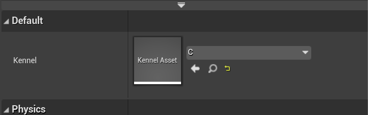 Screenshot of the details panel with a Kennel asset variable set